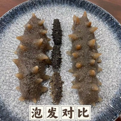 辽参纯淡干海参厂家直发大连低播淡干海参干货国标海参一件代发图3