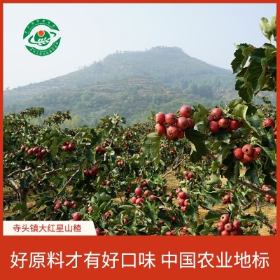 不用防腐剂染色剂原味山楂条图3