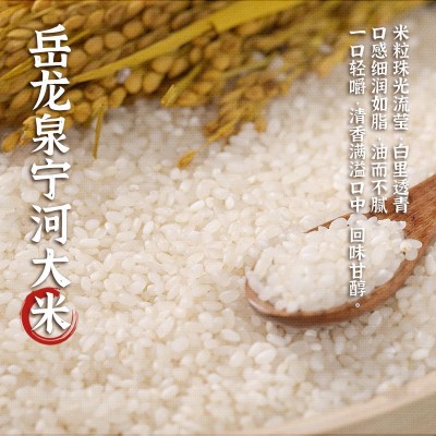 岳龙泉宁河大米香甜软糯天津小站新米中长粒珍珠米500g真空盒装图3