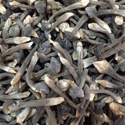 联盛 黑皮鸡枞菌种植 鸡枞菌菌种多少钱 规格齐全图3
