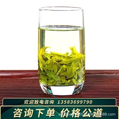 珍品高山云雾绿茶2023新茶正宗明前特级日照充足春茶散装茶叶500g图4
