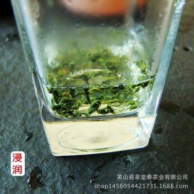 新茶湖北茶叶云雾茶高山炒青绿茶中低档散装香茶味浓耐泡产地批发图3