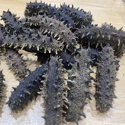 工厂货源海参干货批发 大连六排刺海参辽刺参 大连淡干海参礼盒图3
