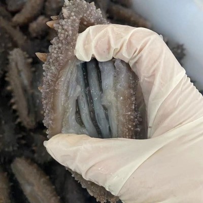 工厂货源量大价优 大连即食海参非淡干海参干货 大连鲜食即食海参图4