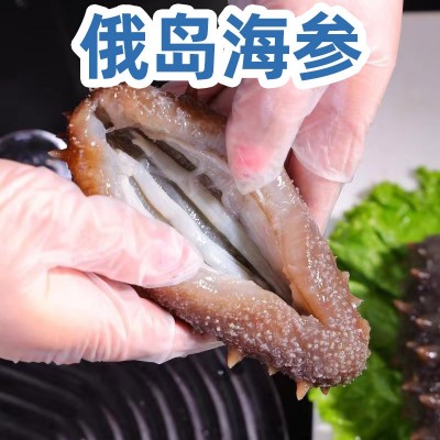 进口俄岛纯淡干深海刺参干制水产品海参餐饮市场海参足干15倍泡发图4