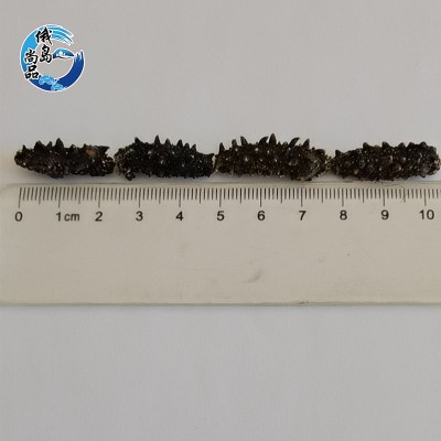 俄罗斯海参二红刺参原货淡干海参批发 水产品海鲜进口海参干货图4