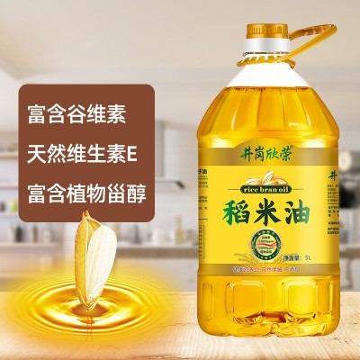 厂家直销米糠油 谷维素食用稻米油5L 日期新鲜现货批发图3