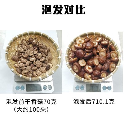 特小香菇金钱菇煲汤黄焖鸡食材西峡干货肉厚冬菇香菇产地直发图4