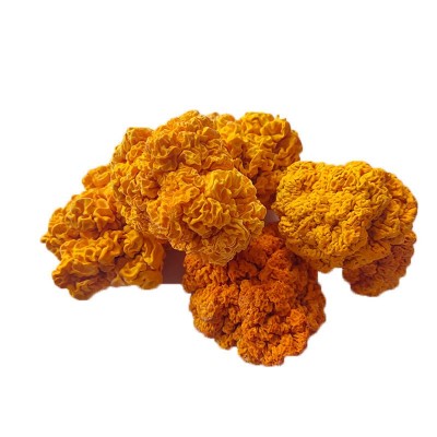 烘干金耳菌黄耳菌菇 酒店食用菌干货冻品产地大货批发工厂直供图5