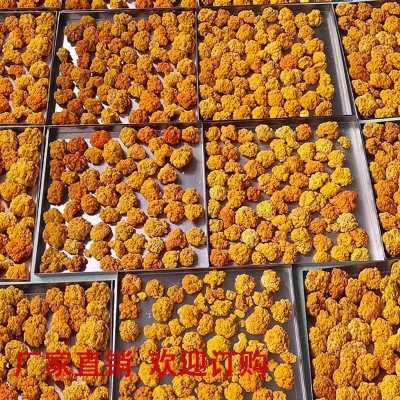 烘干金耳菌黄耳菌菇 酒店食用菌干货冻品产地大货批发工厂直供图4