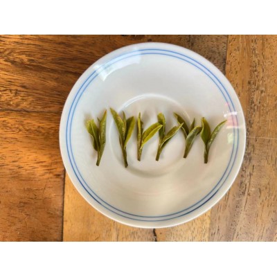 2023年新茶龙井茶群体种春茶绿茶杭州茶叶批发厂家直供一件代发图2