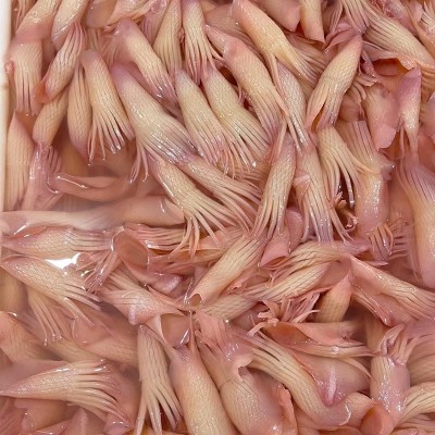 冷冻新鲜牛角花火箭鱿鱼现货批发火箭鱿鱼商用铁板烧烤火锅食材图3