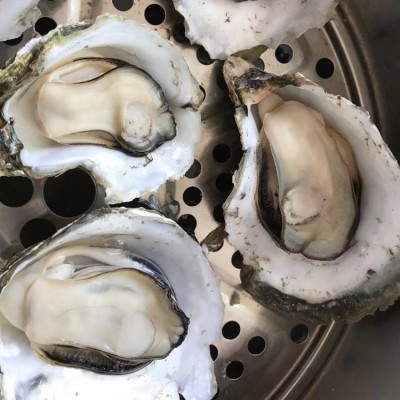 咸水薄壳烧烤大生蚝 有质检商用可开票餐饮常年供应图2