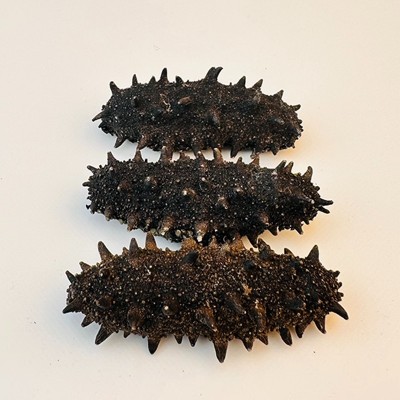 鑫玉隆 深海纯淡干海参500g 40-150头 源头厂家 一手货源图3