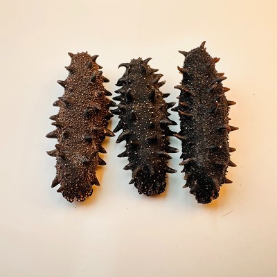 鑫玉隆 深海纯淡干海参500g 40-150头 源头厂家 一手货源图4