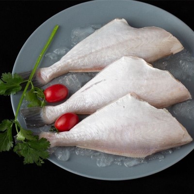 鲜活小橡皮鱼鲜活冷冻剥皮鱼马面鱼耗儿鱼火锅食材厂家直销批发图4