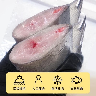 舟山带鱼段新鲜中段去头去尾海捕刀鱼速冻保鲜水产厂家直销批发图3