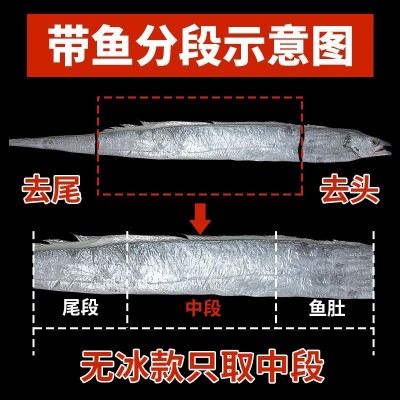 舟山带鱼段新鲜中段去头去尾海捕刀鱼速冻保鲜水产厂家直销批发图4