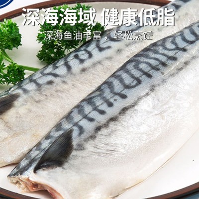 鲜活冷冻青占鱼野生鲐鱼青鲇海鱼生鲜食材日料盐烤厂家直销批发图2