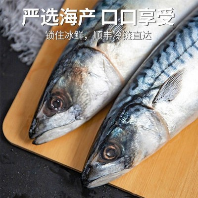 鲜活冷冻青占鱼野生鲐鱼青鲇海鱼生鲜食材日料盐烤厂家直销批发图4