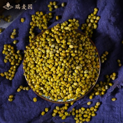 绿豆 五谷杂粮新鲜绿豆粥易煮可脱皮绿豆500g袋装可批发代加工图2
