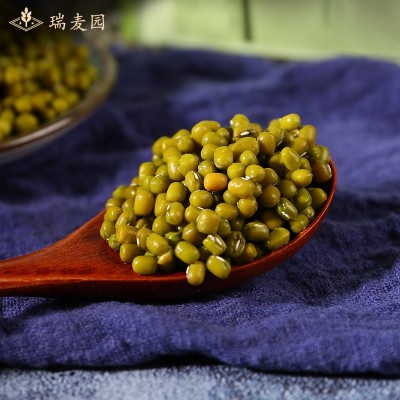 绿豆 五谷杂粮新鲜绿豆粥易煮可脱皮绿豆500g袋装可批发代加工图3