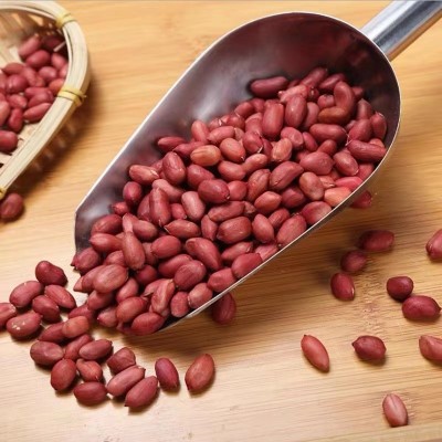 现磨五谷杂粮豆浆粉专用原料 厂家供应红皮花生 低温烘培熟花生米图2