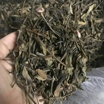 凤凰单丛茶叶批发鸭屎香蜜兰香大乌叶精选茶头奶茶原料一件代发图5