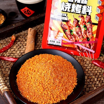 厂家直销烧烤调料撒料全套烧烤料孜然烧烤粉油炸刷料椒盐烤肉图5