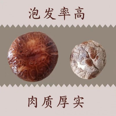 卢水村干香菇精选农家香菇菌菇做菌汤甘肃特产500g*1礼盒装图2