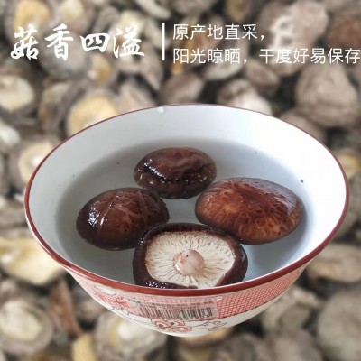 卢水村干香菇精选农家香菇菌菇做菌汤甘肃特产500g*1礼盒装图4