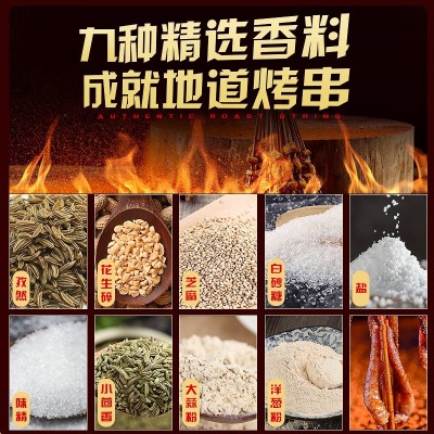 厂家批发烧烤料烤肉料35g香辣原味炸串烤肉撒料蘸料烧烤料图3