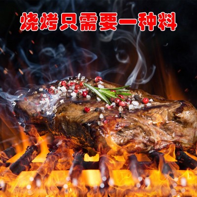 德仕烧烤味撒料调味料鸡排鱿鱼烧烤羊肉串炸鸡翅猪牛排商用图3