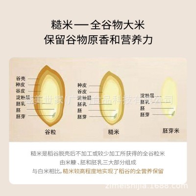 滋美世家免煮糙米饭免洗免蒸煮开水冲泡即食方便米饭稻谷营养15袋图4