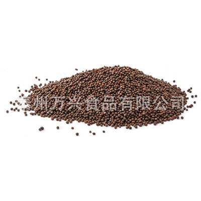 芥末粉 食用黄芥末粉 芥末籽粉 芥菜籽粉 辣根芥末粉 调味粉料图5