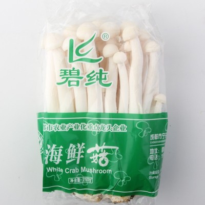 新鲜海鲜菇白玉菇食用菌菇类煲汤新鲜蔬菜蘑菇制品饭店批发实惠图3