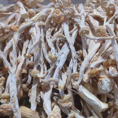 新货未开伞海鲜菇食用菌干货批发手工挑选酒店食材蟹味菇工厂批发图4