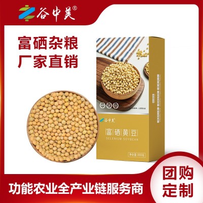 谷中美 富硒黄豆300g 五谷杂粮产地货源东北黄豆现磨豆浆原料黄豆图2