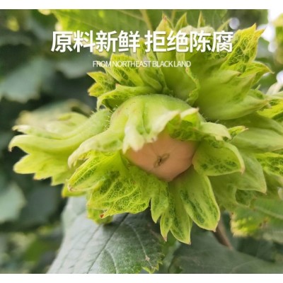 坚果零食榛子原味东北熟榛子瓤满批发500克 支持oem 支持一件代发图4