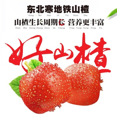 厂家直销一木山楂10kg无蔗糖京糕 散装山楂糕果脯蜜饯休闲零食图3