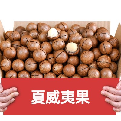 休闲大礼包零食每日坚果干果年货开心果夏威夷果炒货三只批发松鼠图5