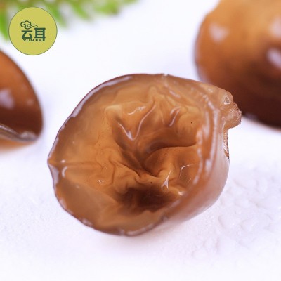 云耳牌云南野生木耳218g礼盒干货肉厚秋木耳批发源头厂家直供图5