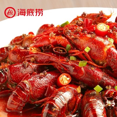 海底捞清油牛油火锅底料麻辣香锅小龙虾调料番茄锅底料蘸料酸菜鱼图2
