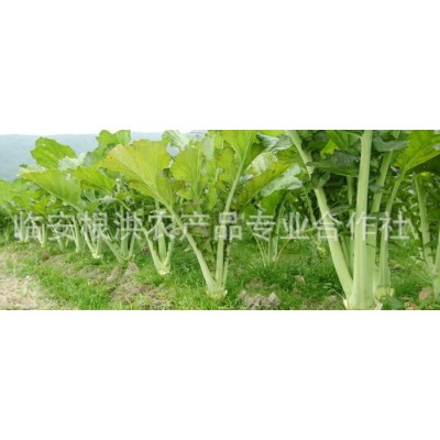 天目乡味农产品杭州临安特产梅干菜散装脱水蔬菜 腌菜干货图5