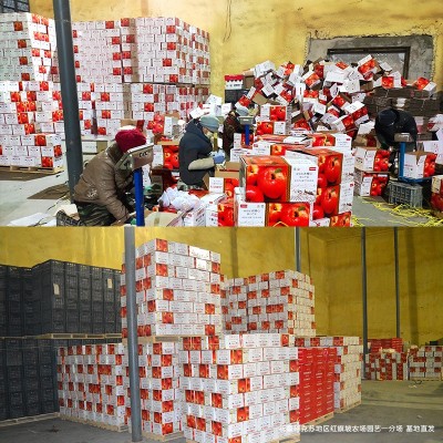 新疆阿克苏冰糖心苹果官方授权精品阿克苏苹果一件代发产地顺丰图3