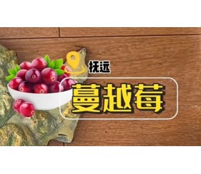 全国特产大摸底，盘点各省美食