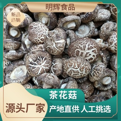 河南香菇基地供应茶花菇 麻花菇 白花菇 板菇 黑面菇等香菇全系列图3