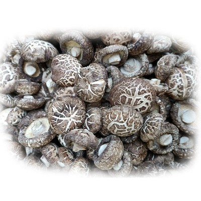 河南香菇基地供应茶花菇 麻花菇 白花菇 板菇 黑面菇等香菇全系列图5