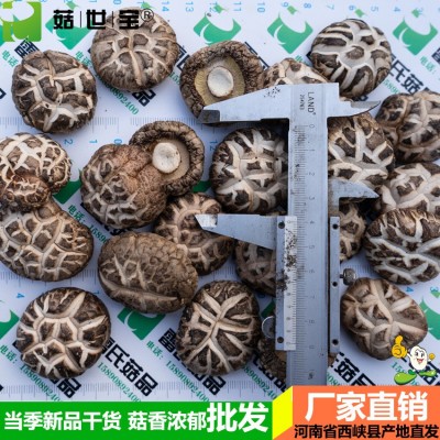 河南冬花菇大小均匀西峡香菇干货香味浓郁新货剪脚5件/5市斤起批图4