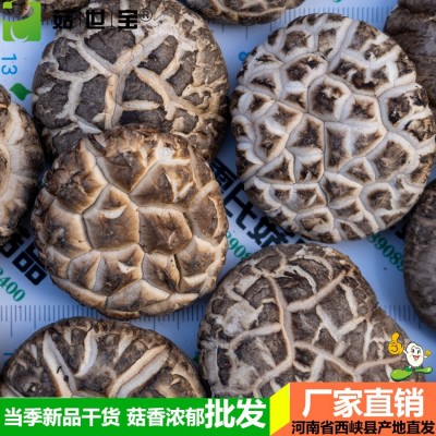 河南冬花菇大小均匀西峡香菇干货香味浓郁新货剪脚5件/5市斤起批图2